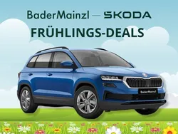 Blau Neu 2025 Skoda Karoq Selection SUV | 29.017 € (Superpreis)