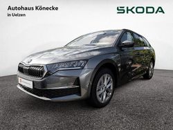 Grau Gebraucht 2025 Skoda Octavia Selection Limousine | 38.444 €