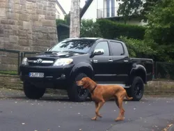 Schwarz Gebraucht 2009 Toyota HiLux Abholung | 22.500 € (Teuer)