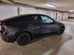 Schwarz Gebraucht 2023 Tesla Model Y RWD SUV | 28.500 € (Superpreis)