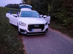 Weiß Gebraucht 2019 Audi Q2 SUV | 21.000 € (Fairer Preis)