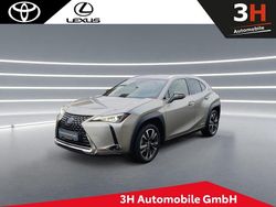 Grau Gebraucht 2022 Lexus UX 250h SUV | 26.990 € (Fairer Preis)