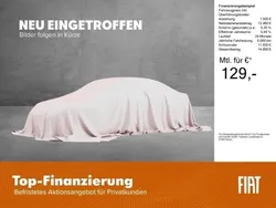 Weiss Neu 2024 Fiat Panda Kleinwagen | 14.980 €