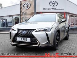 Grau Gebraucht 2021 Lexus UX SUV | 23.990 € (Teuer)
