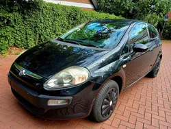 Schwarz Gebraucht 2010 Fiat Punto Kleinwagen | 1.999 € (Guter Preis)