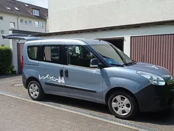 Blau Gebraucht 2015 Opel Combo Van / Kleinbus | 4.900 €