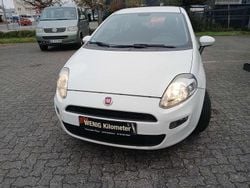 Colore esterno (bianco divino) Gebraucht 2015 Fiat Punto Pop Kleinwagen | 5.490 € (Fairer Preis)