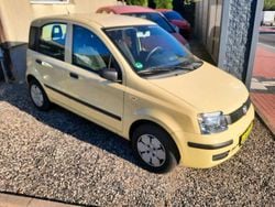 Gelb Gebraucht 2009 Fiat Panda Kleinwagen | 1.350 € (Guter Preis)