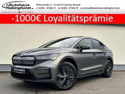 Grau Gebraucht 2025 Skoda Enyaq iV RS SUV | 49.890 € (Teuer)