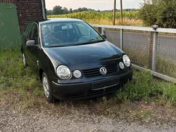 Schwarz Gebraucht 2002 VW Polo Kleinwagen | 1.000 € (Fairer Preis)