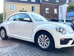 VW Beetle