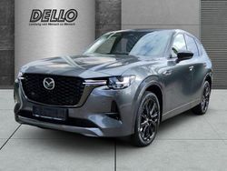 Grau Gebraucht 2023 Mazda CX-60 Homura-Line SUV | 37.990 € (Guter Preis)