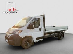 Weiß Neu 2025 Fiat Ducato Van | 33.201 € (Fairer Preis)