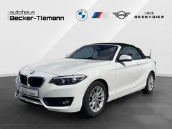 Alpinweiß uni Gebraucht 2019 BMW 218 Advantage Cabrio | 19.898 € (Fairer Preis)