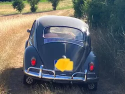 Gebraucht 1962 VW Käfer | 19.500 €