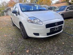 Weiß Gebraucht 2013 Fiat Punto Pop Kleinwagen | 4.990 € (Etwas zu teuer)