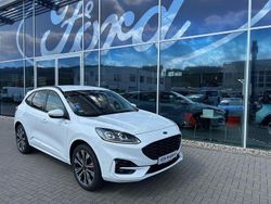 Frozen white weiß Gebraucht 2024 Ford Kuga ST-Line X SUV | 36.990 € (Fairer Preis)