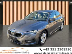 Graphitegrau metallic Gebraucht 2023 Skoda Octavia Ambition Limousine | 18.980 € (Guter Preis)