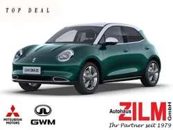 Grün Neu 2025 Ora 03 Limousine | 30.490 € (Etwas zu teuer)