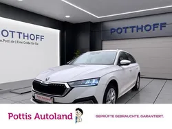 Candyweiss Gebraucht 2023 Skoda Octavia Style Kombi | 23.977 € (Guter Preis)