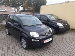 Schwarz Neu 2025 Fiat Panda Kleinwagen | 14.650 € (Fairer Preis)