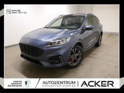 Chrome blue (blau) Gebraucht 2024 Ford Kuga ST-Line X SUV | 25.980 € (Guter Preis)