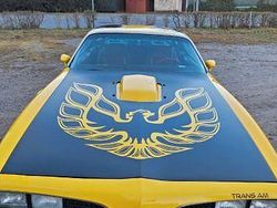 Gelb Gebraucht 1978 Pontiac Trans Am Coupé | 22.900 €