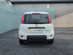 Weiß Neu 2024 Fiat Panda Kleinwagen | 12.499 € (Guter Preis)