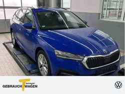 Gebraucht 2023 Skoda Octavia Ambition Kombi | 23.170 € (Superpreis)