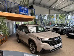Gold Neu 2025 Subaru Forester Platinum SUV | 48.950 € (Teuer)