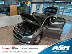 Grau Neu 2025 Skoda Fabia Limousine | 24.409 € (Fairer Preis)