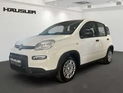 Gelato weiß Neu 2024 Fiat Panda Kleinwagen | 15.890 €