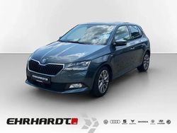 Grau Gebraucht 2021 Skoda Fabia Clever Kleinwagen | 14.489 € (Fairer Preis)