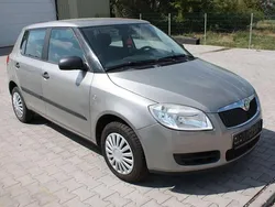 Beige Gebraucht 2009 Skoda Fabia Kleinwagen | 5.499 € (Teuer)