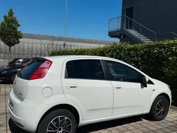 Weiß Gebraucht 2009 Fiat Punto Kleinwagen | 2.690 € (Etwas zu teuer)