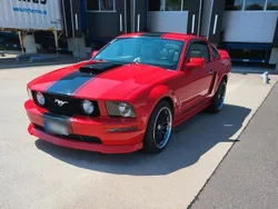 Rot Gebraucht 2008 Ford Mustang Coupé | 19.500 € (Fairer Preis)