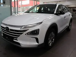 White cream / mic Gebraucht 2019 Hyundai Nexo SUV | 25.350 € (Teuer)