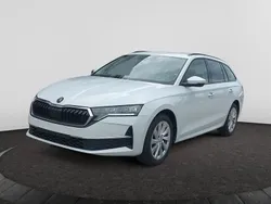 Weiß Gebraucht 2024 Skoda Octavia Selection Kombi | 27.585 € (Guter Preis)