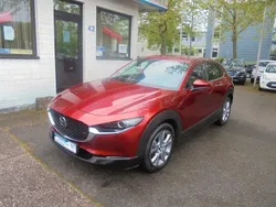 Rot Gebraucht 2020 Mazda CX-30 Selection SUV | 16.950 € (Superpreis)