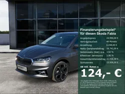 Grau Neu 2025 Skoda Fabia Tour Limousine | 24.990 € (Fairer Preis)