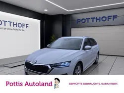 Weiss Gebraucht 2023 Skoda Octavia Style Kombi | 21.777 € (Guter Preis)