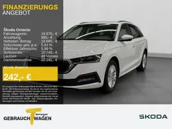 Weiß Gebraucht 2022 Skoda Octavia Ambition Kombi | 19.670 € (Superpreis)