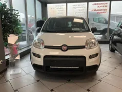 Weiß Gebraucht 2023 Fiat Panda Kleinwagen | 11.990 € (Fairer Preis)