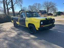 Gelb Gebraucht 1986 Dodge Ram Abholung | 16.500 €
