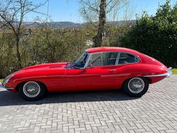 Rot Gebraucht 1967 Jaguar E-Type | 169.000 €