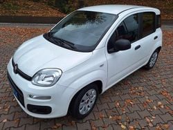 Weiß Gebraucht 2014 Fiat Panda Lounge Kleinwagen | 5.900 € (Guter Preis)
