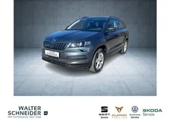Grau Gebraucht 2020 Skoda Karoq Ambition SUV | 19.455 € (Fairer Preis)
