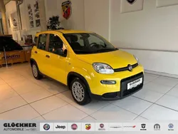 Gelb Gebraucht 2024 Fiat Panda Kleinwagen | 13.990 € (Fairer Preis)