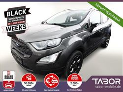 Grau Gebraucht 2020 Ford Ecosport ST-Line SUV | 11.588 € (Fairer Preis)