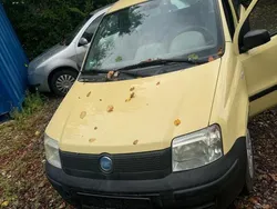 Gelb Gebraucht 2006 Fiat Panda Kleinwagen | 1.999 € (Etwas zu teuer)